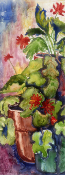 Geranium